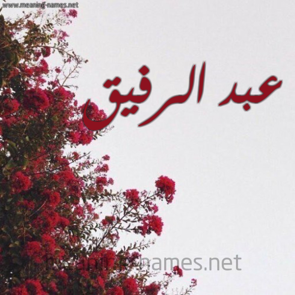 شكل 18 صوره الورد الأحمر للإسم بخط رقعة صورة اسم عبد الرفيق ABDERRAFIQ